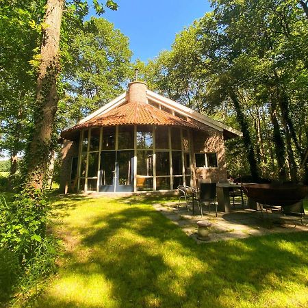 De Paddestoel Villa Wateren Ngoại thất bức ảnh